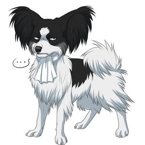 Meet your Posher, Aronna